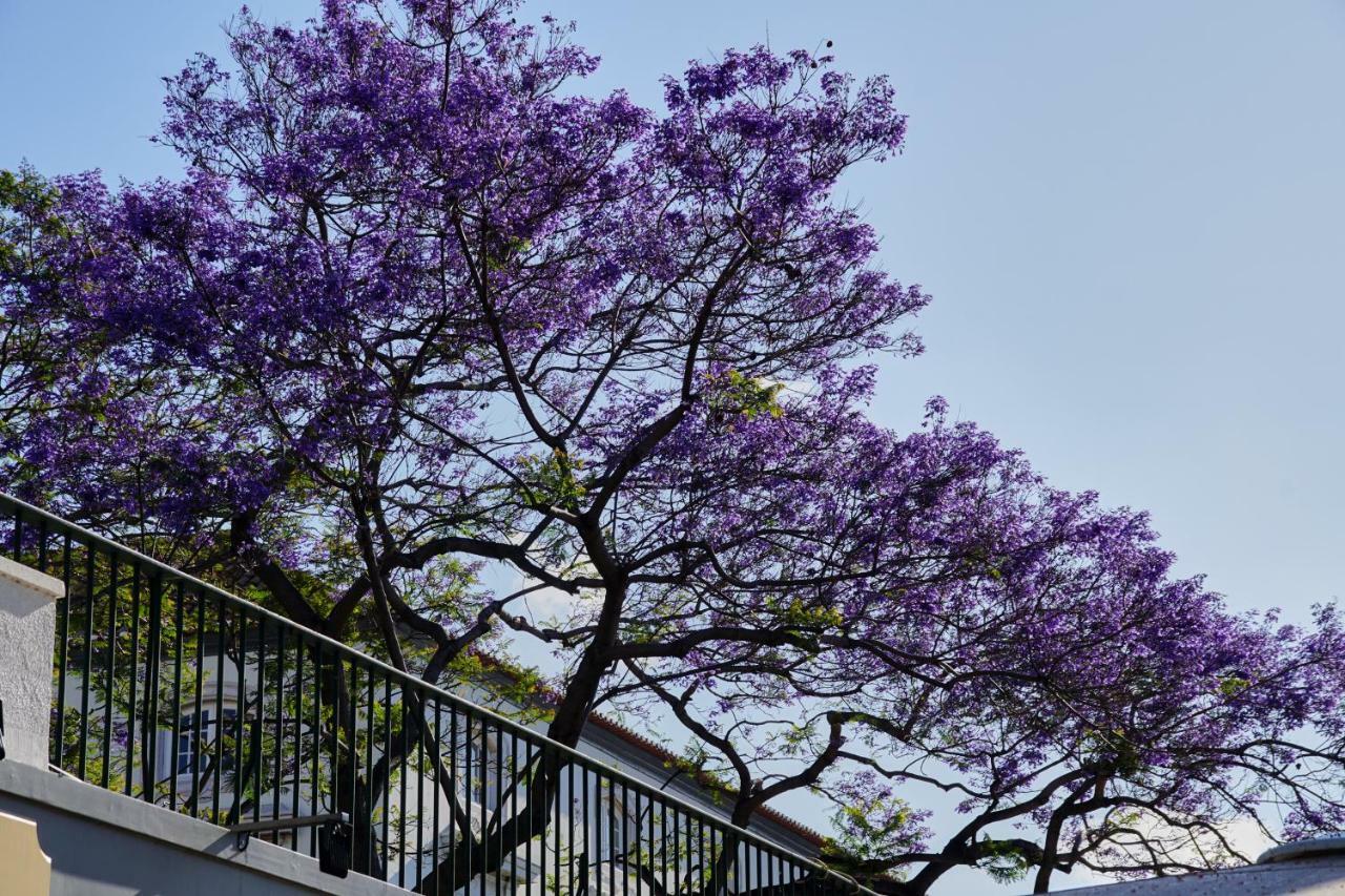 Ribeira Funchal Center Appartement Buitenkant foto